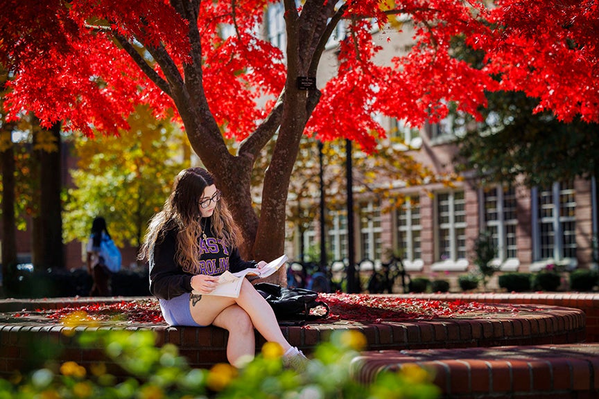 Student sits in front of tree with fall foliage