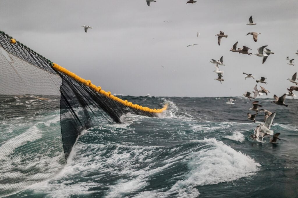 industrial fishing net